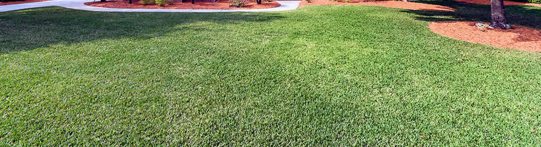 Oakleaf Florida's Lawn Mowing Services near me